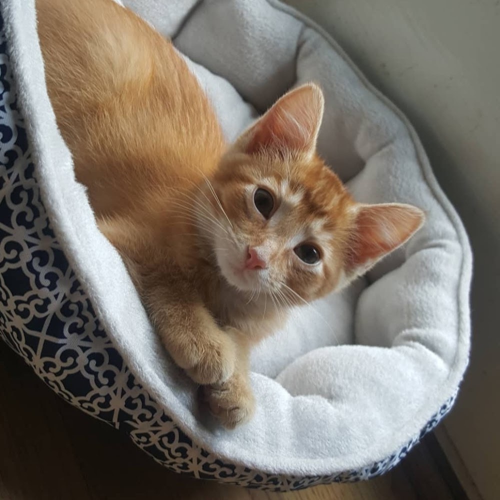 Meet your Posher, Mack